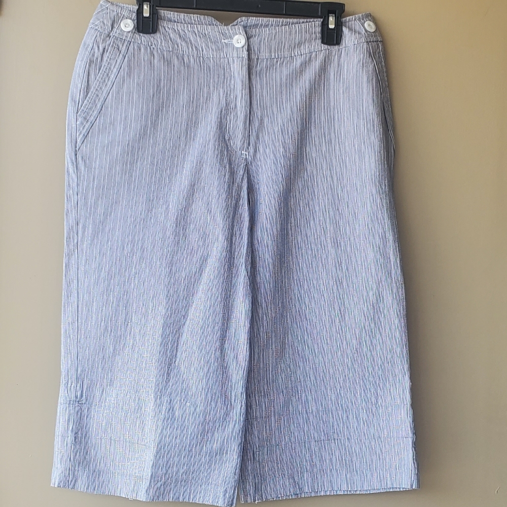 Westbound Blue White Pinstriped Stretchy Wide Leg Capris